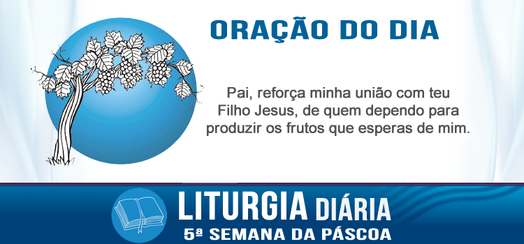 Liturgia diaria Jesus a videira verdadeira