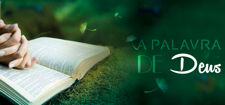 Palavra de Deus caminho verdade e vida