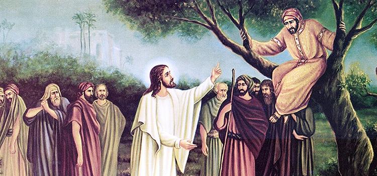 Homilia - Zaqueu e o encontro com Jesus