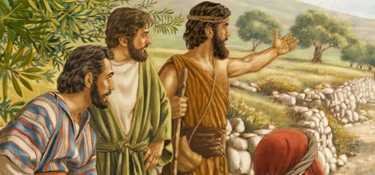 Homilia Advento e conversão, preparai os caminhos do Senhor.
