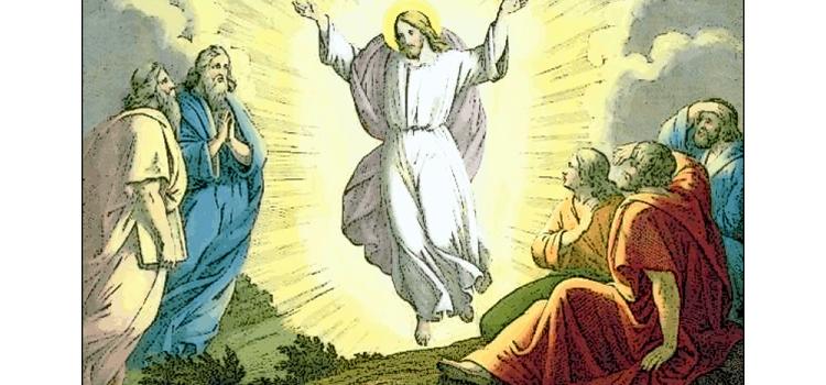 Homila Transfiguração do Senhor