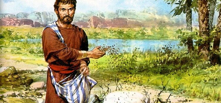 15º Domingo do Tempo Comum - O Semeador