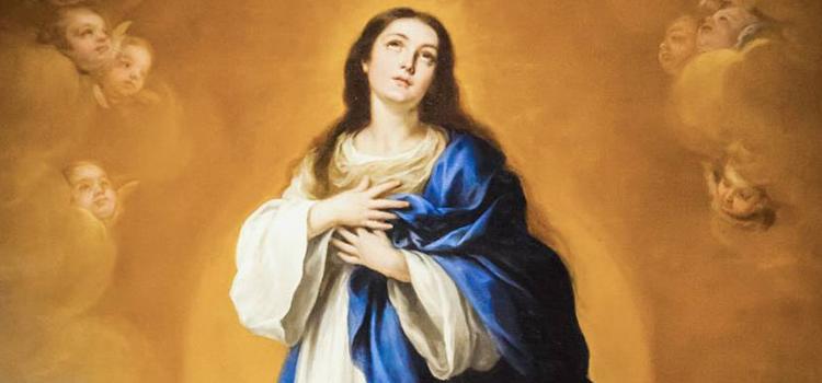 a imaculada conceição de nossa senhora