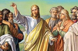 11º domingo do tempo comum – A.