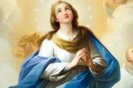 Nossa Senhora Imaculada conceição