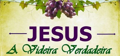 Homilia do 5º Domingo da Páscoa - Jesus Videira verdadeira